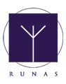 Runas Vikingas